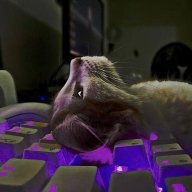 seqwiemqa♡inflorez